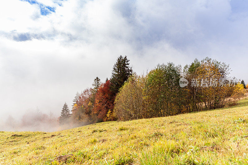 时间流逝美丽的绿色自然和雾雾流在早晨的山与温和的阳光。秋天在乌克兰，喀尔巴阡山脉，Synevir pass